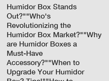 Which Creative Versatile Humidor Box Stands Out?