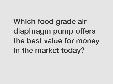 Which food grade air diaphragm pump offers the best value for money in the market today?