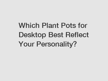 Which Plant Pots for Desktop Best Reflect Your Personality?