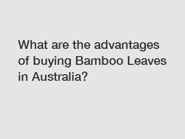 What are the advantages of buying Bamboo Leaves in Australia?
