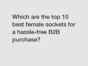 Which are the top 10 best female sockets for a hassle-free B2B purchase?