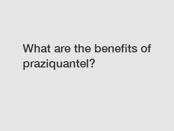 What are the benefits of praziquantel?