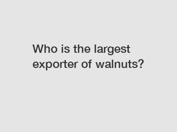 Who is the largest exporter of walnuts?