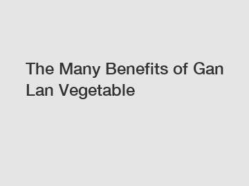 The Many Benefits of Gan Lan Vegetable