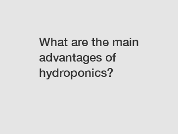 What are the main advantages of hydroponics?