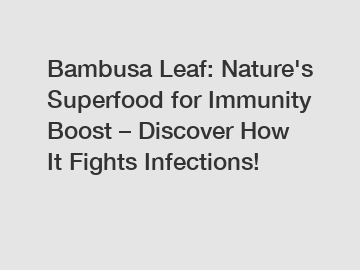 Bambusa Leaf: Nature's Superfood for Immunity Boost – Discover How It Fights Infections!