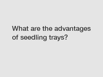 What are the advantages of seedling trays?