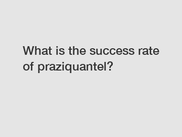 What is the success rate of praziquantel?