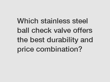 Which stainless steel ball check valve offers the best durability and price combination?