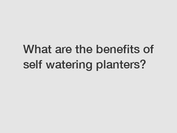 What are the benefits of self watering planters?