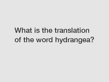 What is the translation of the word hydrangea?