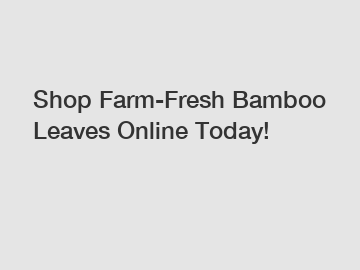 Shop Farm-Fresh Bamboo Leaves Online Today!