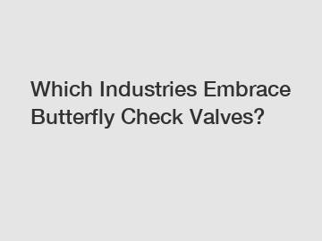 Which Industries Embrace Butterfly Check Valves?