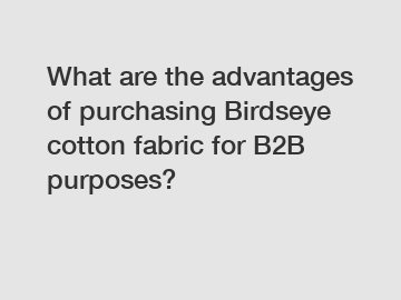 What are the advantages of purchasing Birdseye cotton fabric for B2B purposes?