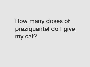 How many doses of praziquantel do I give my cat?