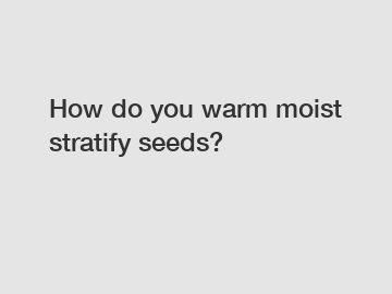 How do you warm moist stratify seeds?
