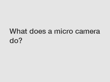 What does a micro camera do?
