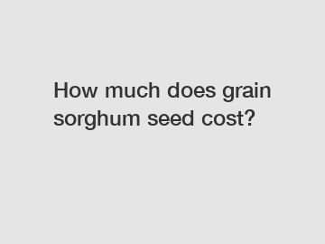 How much does grain sorghum seed cost?