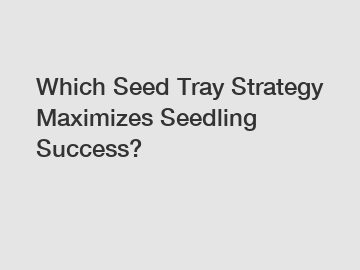 Which Seed Tray Strategy Maximizes Seedling Success?