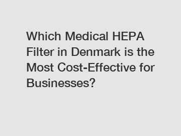 Which Medical HEPA Filter in Denmark is the Most Cost-Effective for Businesses?