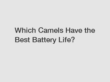 Which Camels Have the Best Battery Life?