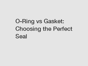 O-Ring vs Gasket: Choosing the Perfect Seal