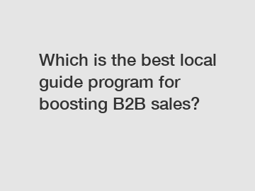 Which is the best local guide program for boosting B2B sales?