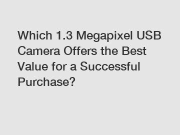 Which 1.3 Megapixel USB Camera Offers the Best Value for a Successful Purchase?