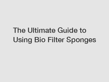 The Ultimate Guide to Using Bio Filter Sponges