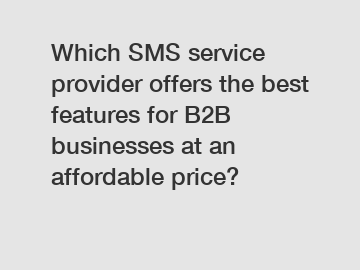 Which SMS service provider offers the best features for B2B businesses at an affordable price?
