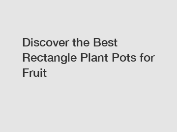 Discover the Best Rectangle Plant Pots for Fruit