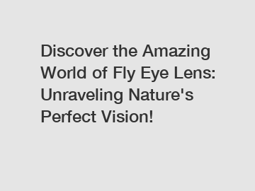 Discover the Amazing World of Fly Eye Lens: Unraveling Nature's Perfect Vision!
