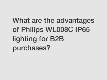 What are the advantages of Philips WL008C IP65 lighting for B2B purchases?